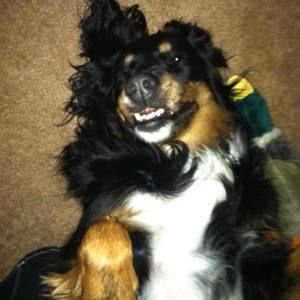 Meet your Posher, Chris